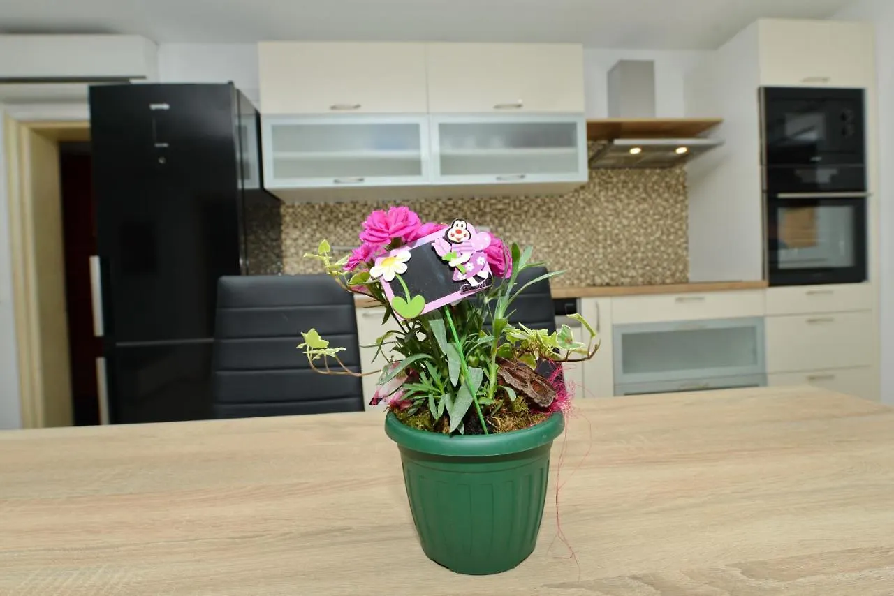Apartmani Nina Tkon