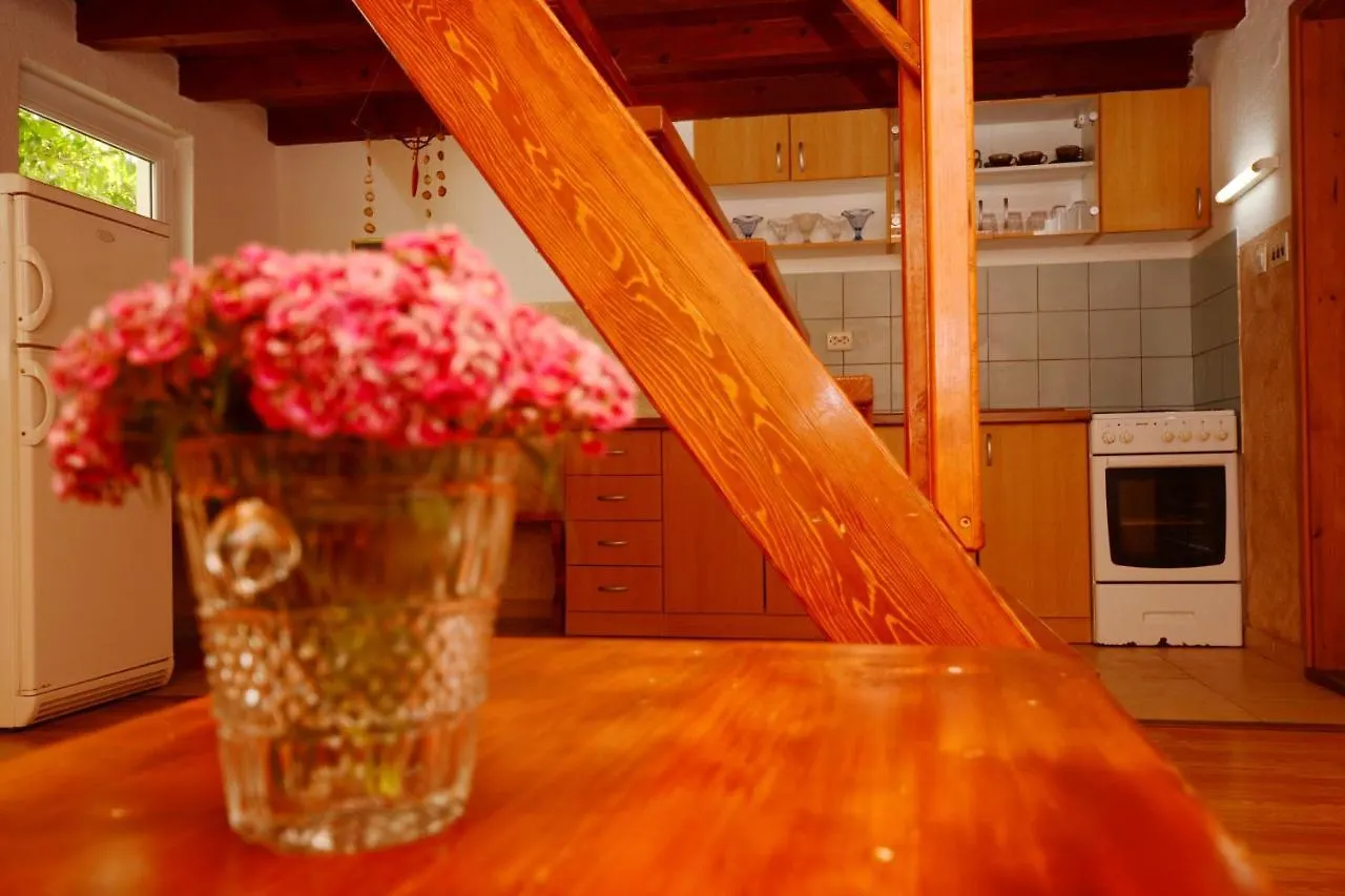 Apartment Apartmani Nina Tkon