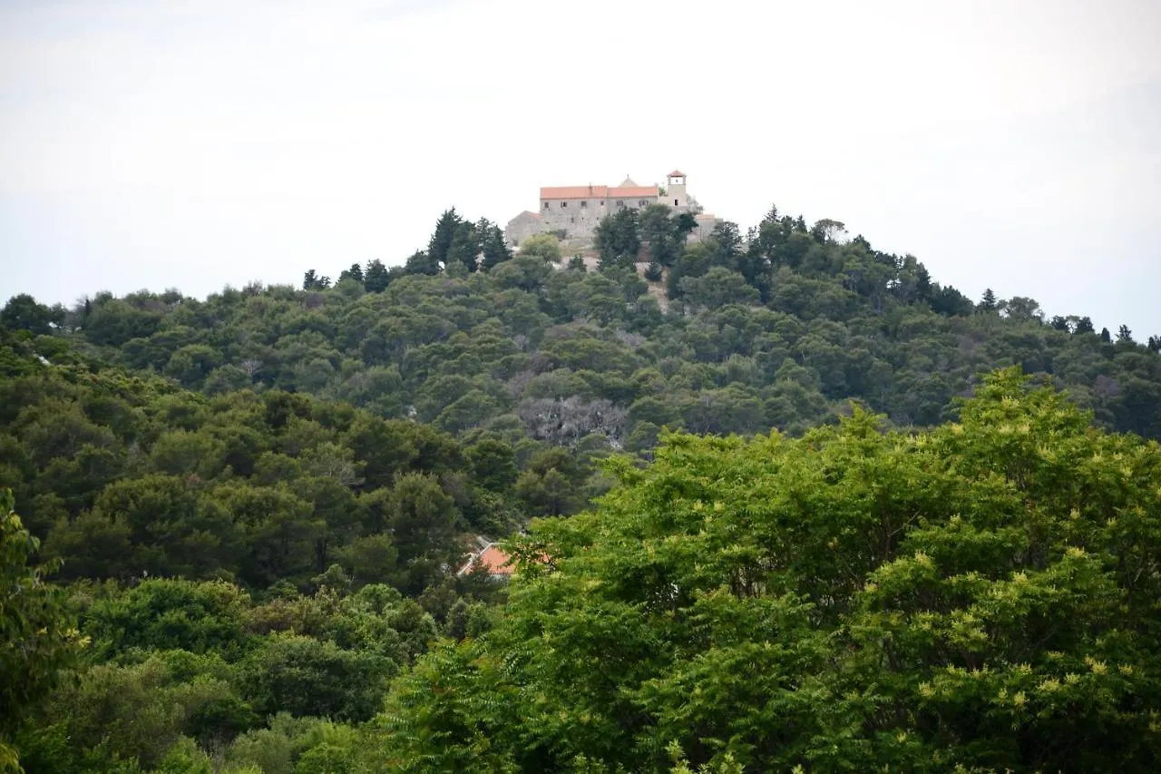 Apartmani Nina Tkon 0*,  Croatia